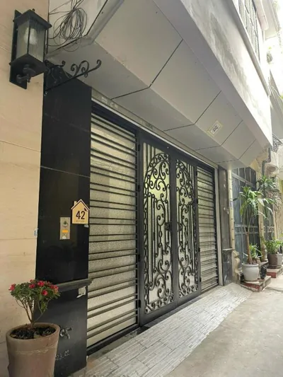 Tiger Home – Photos 6